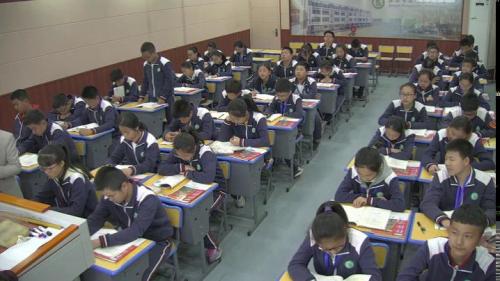 部编版道德与法治七下9.1《生活需要法律》课堂教学视频实录-张瑶