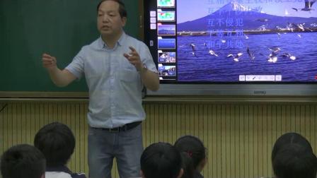 《第一节 发展中国家与发达国家》优质课教学视频实录-湘教版初中地理七年级上册