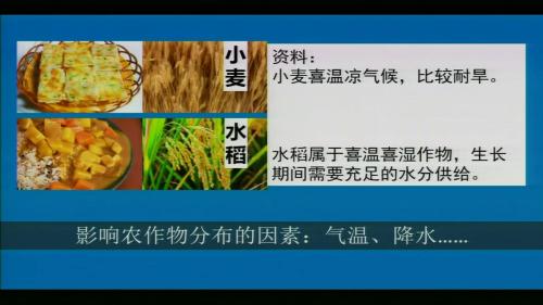 人教版地理七下《印度--自然环境与粮食生产》优质课视频实录-执教：李兰星老师