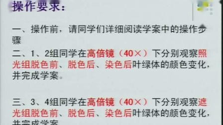 《第二节 绿色植物的光合作用》优质课课堂展示视频-北京版初中生物七年级上册