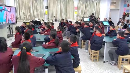 五年级科学上册《心脏和血液循环》优质课视频--江苏信息化执教老师：大赛