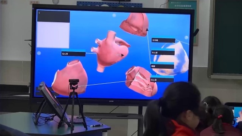 五年级科学上册《心脏和血液循环》课堂实录-江苏信息化执教老师：大赛