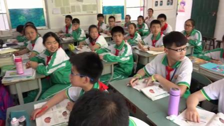 《第二节　神经调节的基本结构》课堂教学视频实录-济南版初中生物七年级下册