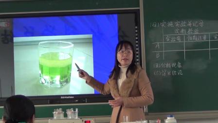 《第2节 食物的消化和营养物质的吸收》课堂教学视频实录-北师大版初中生物七年级下册