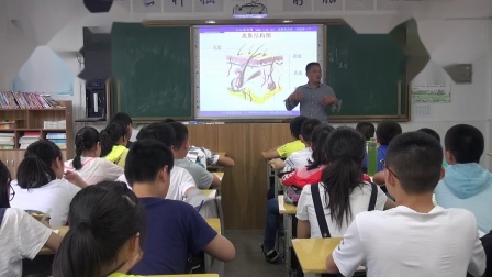 《第3节 皮肤与汗液分泌》优质课视频-北师大版初中生物七年级下册