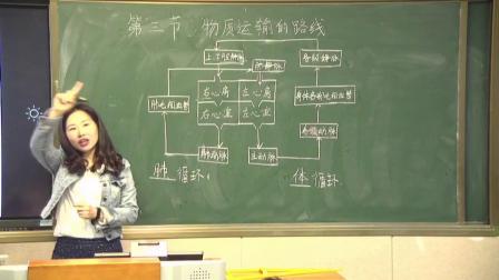 《第三节 物质运输的路线》优质课评比视频-冀少儿版初中生物七年级下册