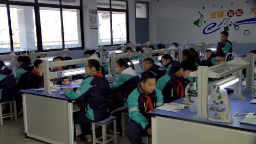 人教版生物七上2.2.2《动物体的结构层次》课堂教学视频实录-段中红