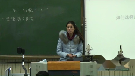 华师大版科学七上4.2《细胞》课堂教学视频实录-杜亚美