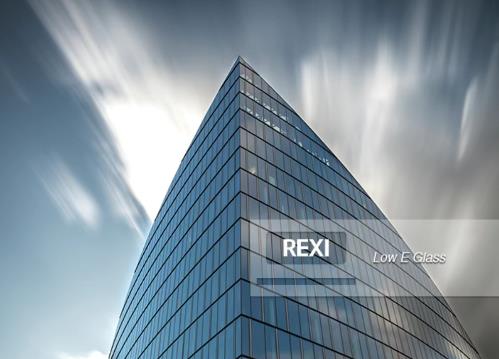 “黄金门牌号”：睿玺工业成功收购域名rexi.com并启用，品牌辨识度瞬间拉满